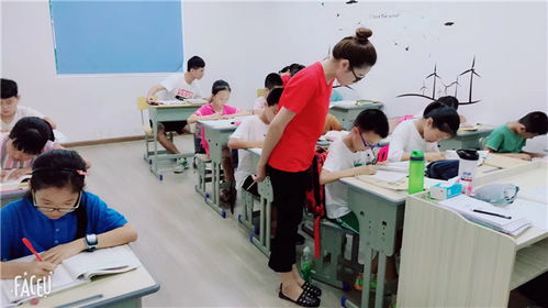 金華八年級語文1對多培訓(xùn) 起點教育助力文化素養(yǎng)提升與交流